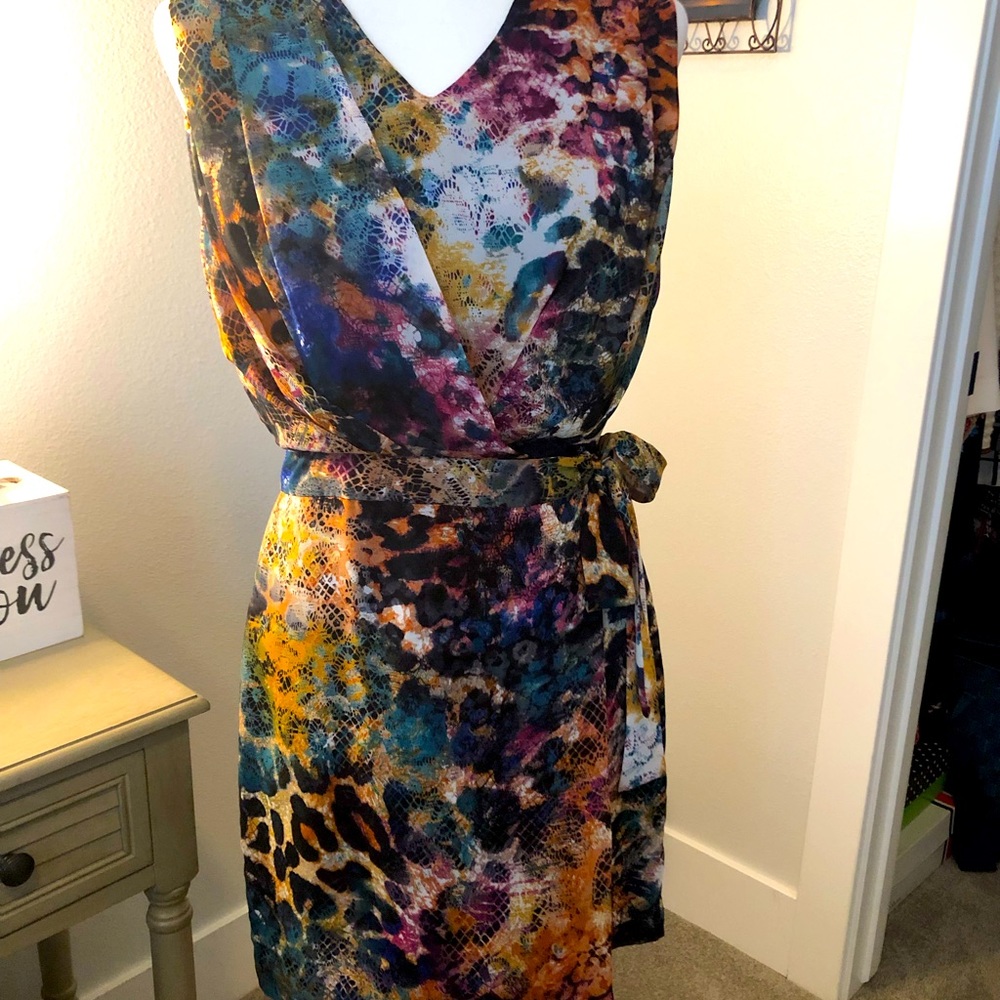 Womens dress. Bought at Nordstroms. Sz. 6P. Multi color sleeveless dress